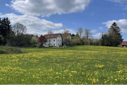 Haus zum Kaufen in Vilgertshofen 996.000,00 € 170.49 m²