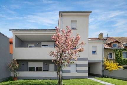 Haus zum Kaufen in Lützen 397.000,00 € 216 m²