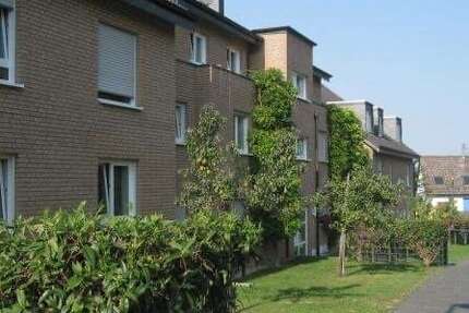 Wohnung zum Mieten in Alfter 800,00 € 76 m²