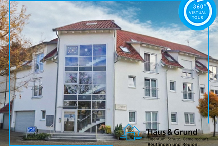 Wohnung zum Mieten in Riederich 480,00 € 39 m²