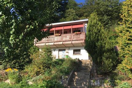 Pachtgarten - 4.950,00&nbsp;EUR Kaltmiete, ca.&nbsp; 0,00&nbsp;m&sup2; in Sonneberg (PLZ: 96515)