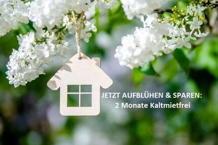 Wohnung zum Mieten in Rötha 440,00 € 61 m²