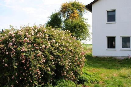 Hof in Alleinlage Sacherl zu verkaufen - Egglham