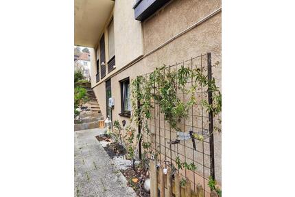 Doppelhaushälfte zu Vermieten - 1.450,00&nbsp;EUR Kaltmiete, ca.&nbsp; 112,00&nbsp;m&sup2; in Würzburg (PLZ: 97080) Dürrbachau