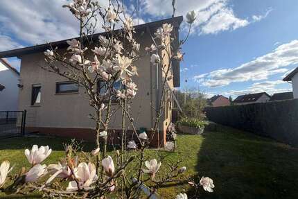 Haus zum Kaufen in Wöllstadt 395.000,00 € 120 m²