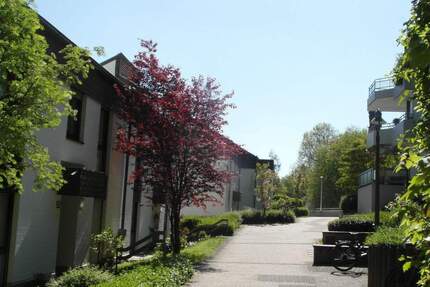 Bonn in ruhiger Wohnlage Privatweg das besondere angenehme Wohnen * bezugsfrei *mit 2 Balkonen, 2 Zimmer, TG-Stellplatz