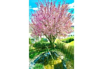 Haus zum Kaufen in Göppingen 645.000,00 € 250 m²