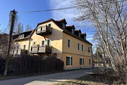 Wohnung zum Mieten in Dresden 690,00 € 53 m²