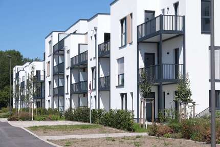 Wohnung zum Mieten in Höhr-Grenzhausen 504,00 € 42 m²