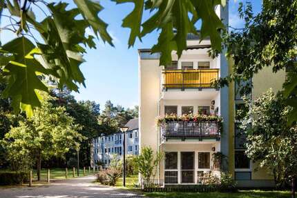 Wohnung zum Mieten in Brandenburg an der Havel 303,15 € 44.32 m²
