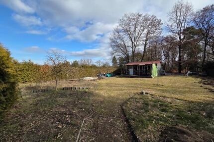 Kleingarten zur Pacht Kastanienweg mit Waldblick Fürstenwalde - Fürstenwalde (Spree)