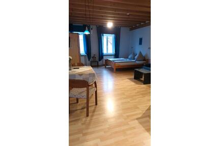 Wohnung 1 Zimmer-Apoartment möbliert, 35 qm, 76857 DernbachPfalz - Albersweiler