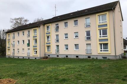 3 ZKB Neu renoviert in BSA, ab 01.09.2025 verfügbar - Bad Sooden-Allendorf