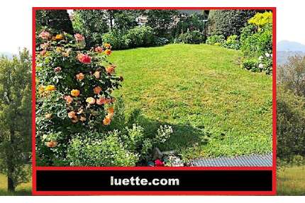 Haus zum Kaufen in Görwihl 390.000,00 € 154 m²