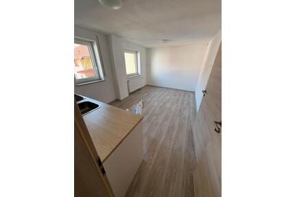 1 Zimmer Wohnung in Laiz (Sigmaringen)