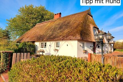 Exklusive Ostsee-Reetkate am Meer mit Pool & Hund, bis 8 Pers., ruhige Alleinlage in Strandnähe, Ferienhaus nahe Lübeck Heiligenhafen Fehmarn, Last Minute Angebote, Ferienwohnung - Heringsdorf