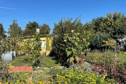 Garten in der Kleingartenanlage 
