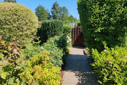 Kleingarten Pachtgarten Schrebergarten in Bergen Süd - Bergen auf Rügen