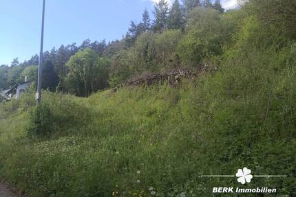 BERK Immobilien - Naturnahes sonniges Baugrundstück - Platz für zwei Wohnhäuser in RippbergWalldürn - Walldürn / Rippberg