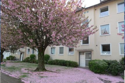 Pfiffige 2Zi- DG-Wohnung mit Terrasse in Bielefeld von privat