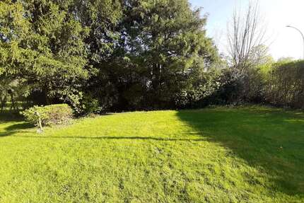 Grundstück zu verkaufen in Horn-Bad Meinberg 65.000,00 € 790 m²