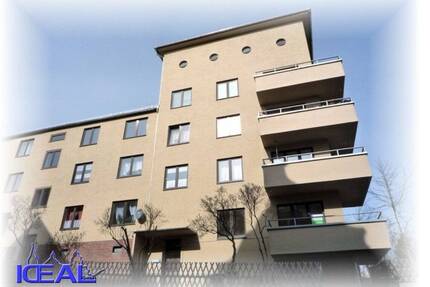 IDEAL - großzügiges Wohnen in Stadtpark Nähe - Plauen Stadtmitte