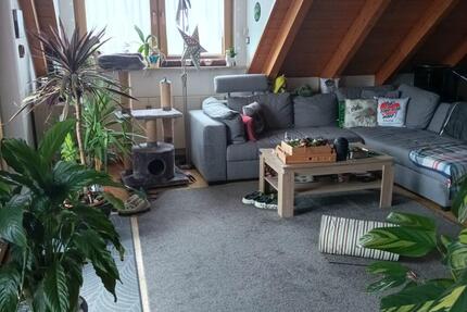 Exklusive 3 Zimmer Wohnung mit Einbauküche in Herrieden OT