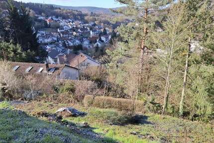 Grundstück zu verkaufen in Schriesheim 198.000,00 € 611 m²