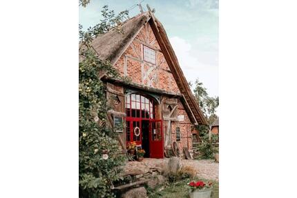 Urlaub im Reetdachhaus in Schattin, Nähe Lübeck & Ratzeburger See - Rehna