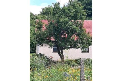 Einfamilienhaus Selbstversorger 1ha Land - Eldetal