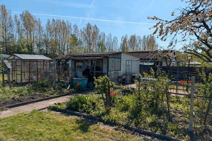 Kleingarten, Schrebergarten in Hildesheim