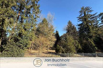 Grundstück zu verkaufen in Buchholz in der Nordheide Holm-Seppensen 390.000,00 € 1866 m² - Buchholz in der Nordheide / Holm-Seppensen
