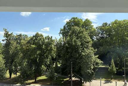 Wohnung zum Mieten in Frankfurt (Oder) 630,00 € 67.34 m²