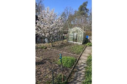 Kleingarten mit Outdoor Küche und sehr gemütlicher Sitzecke - Hoyerswerda