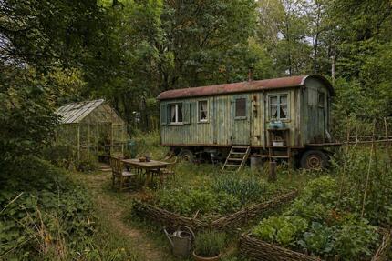 Sichern Sie sich jetzt Ihren eigenen Garten in Nordhausen Nord