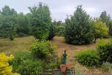 Garten, Pachtgarten, Parzelle, Rotensee Magdeburg