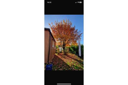 Pachtgrundstück mit Wohnwagen in Paulsdorf-Campingplatz - Dresden Loschwitz