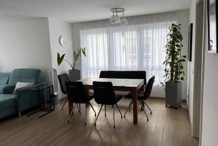 4,5 Zimmer Wohnung im Neubaugebiet Hemmingen