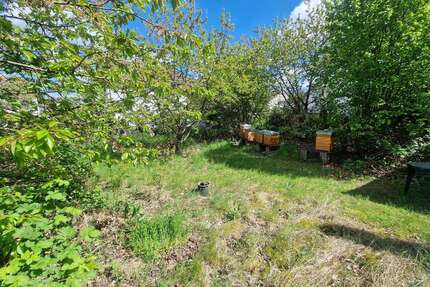 Grundstück zu verkaufen in Dreieich 589.094,00 € 530 m²