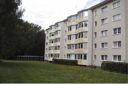 3-Raum-Wohnung - 340,00&nbsp;EUR Kaltmiete, ca.&nbsp; 57,50&nbsp;m&sup2;&nbsp;Wohnfl&auml;che in Reinsdorf (PLZ: 08141)