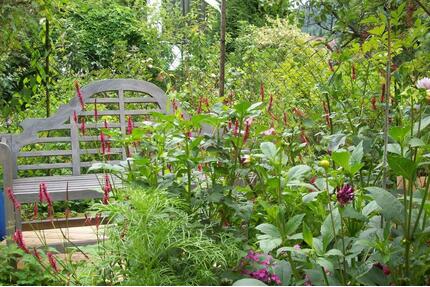 Liebevolles Zuhause - 570.000,00&nbsp;EUR Kaufpreis, ca.&nbsp; 230,00&nbsp;m&sup2; in Simonswald (PLZ: 79263)