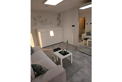 1-Zimmer-Appartement möbiliert als Kapitalanlage - Kaiserslautern