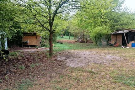 2 mal 2000qm Garten Wald Hund Pferd Huhn Tinyhaus Bach Gemüse - Guldental