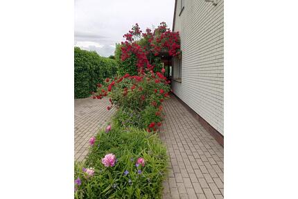 Haus mit Potenzial zu verkaufen 300qm Gartenfläche - Wittenberge