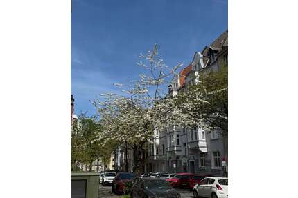 Wohnung zum Mieten in Dortmund 1.850,00 € 134 m²