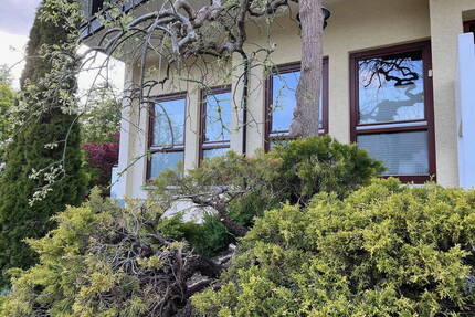 Provisionsfrei! Drei-Zimmer-Wohnung in ruhiger Lage am Ortsrand von Königsfeld.