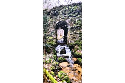 Naturjuwel Murgtal: 700 m² Freizeitgrundst. mit Bachlauf & Hütte - Gernsbach