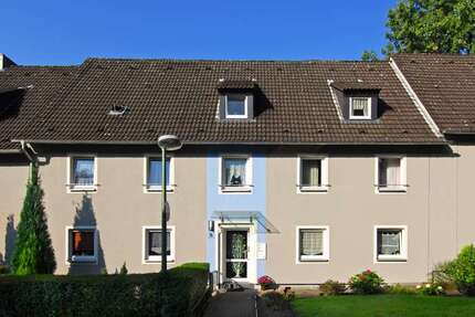 Wohnung zum Mieten in Gelsenkirchen 319,00 € 46.97 m²