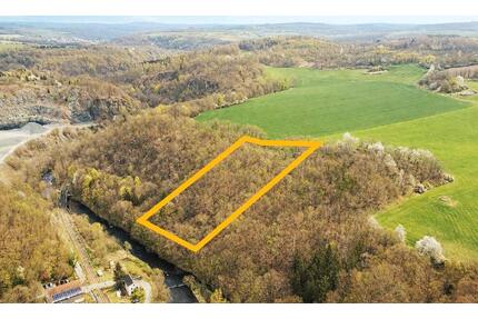 AUKTION: Waldgrundstück - 3.000,00&nbsp;EUR Kaltmiete, ca.&nbsp; 0,00&nbsp;m&sup2; in Pöhl (PLZ: 08543)