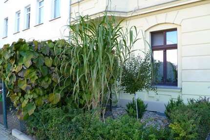 Wohnung zum Kaufen in Magdeburg 135.000,00 € 109.04 m²